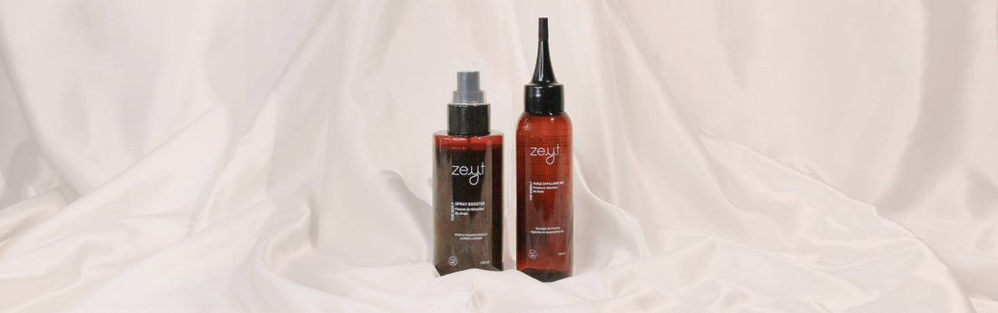 Le Romarin : bienfaits et utilisations pour les cheveux